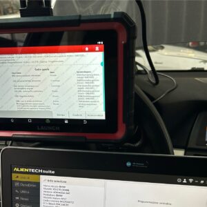 Diagnosi Elettronica Professionale